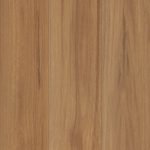New England Spotted Gum