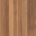 Mountain Spotted Gum